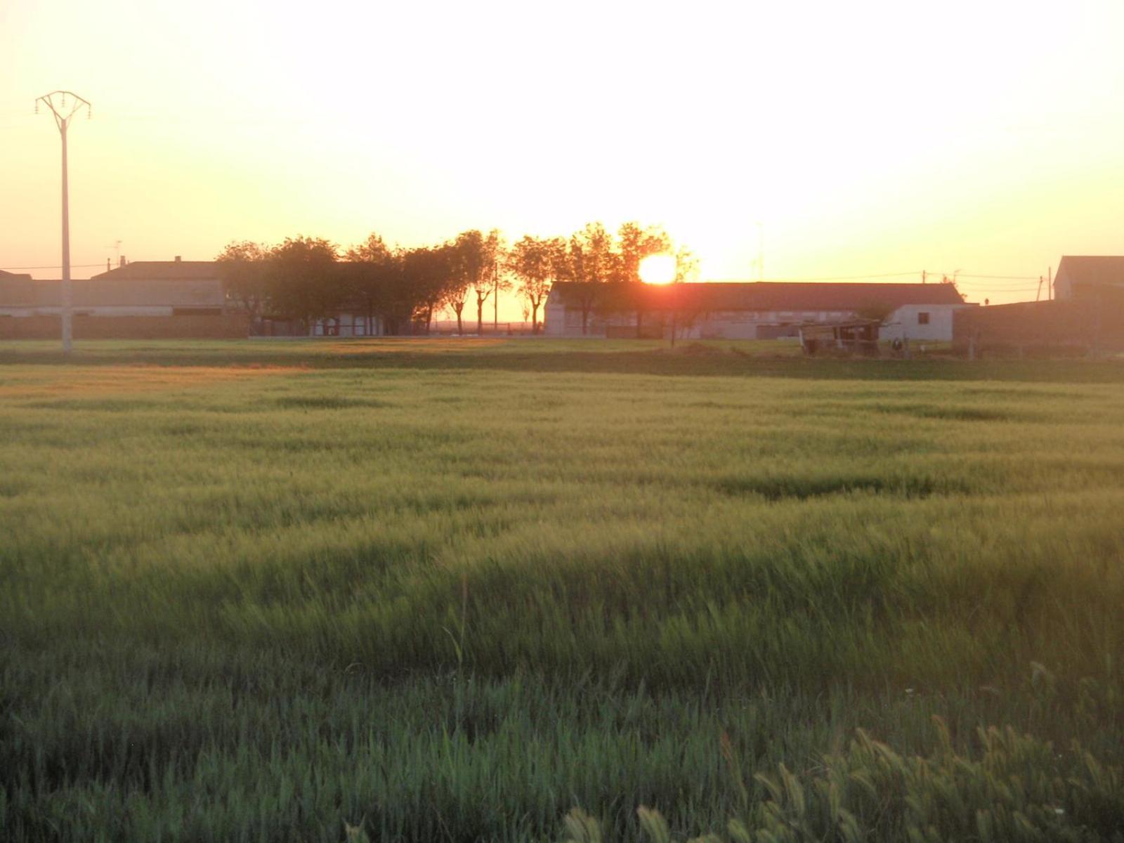 Casa Rural La Sastreria De Adanero المظهر الخارجي الصورة